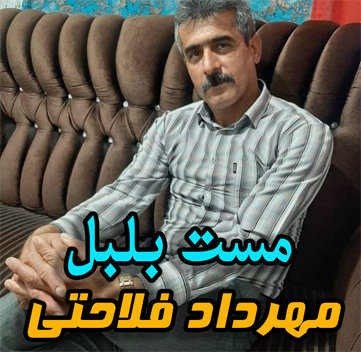مهرداد فلاحتی مست بلبل